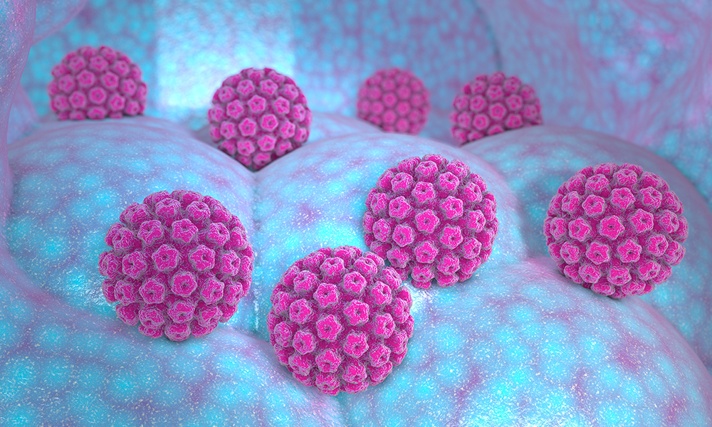 Visualization of the HPV virus. 