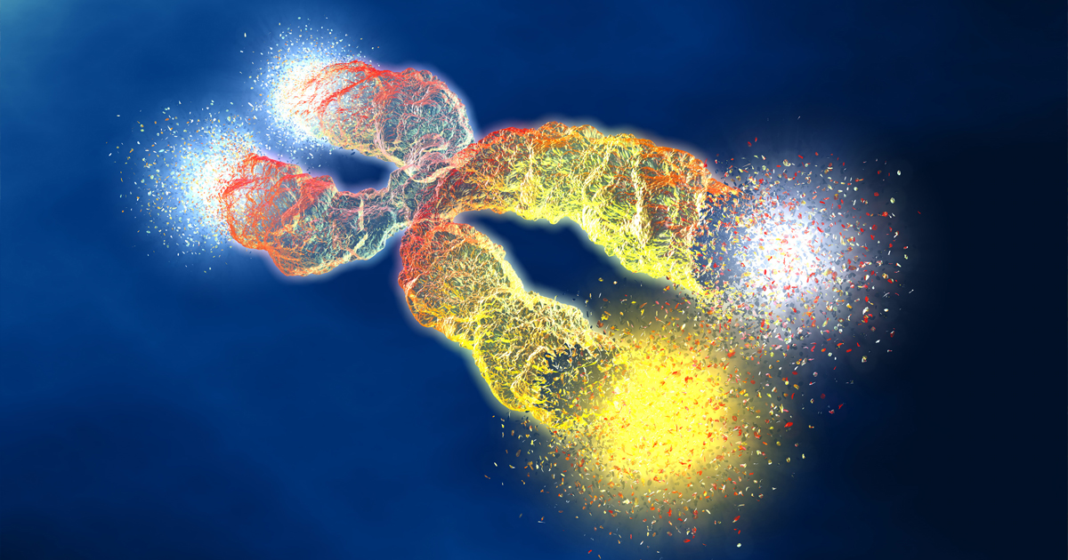 Illustration of a chromosome