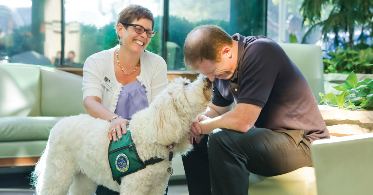 Animal-assisted therapy for cancer patients may help ease stress, lift  spirits | CTCA | City of Hope