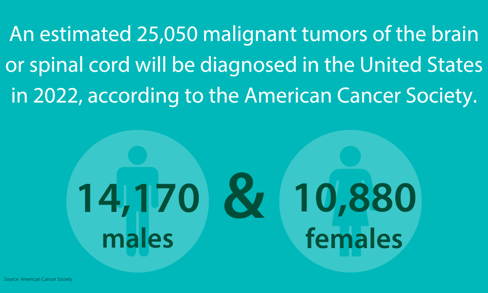 2022 estimated spinal cord and brain cancer diagnosis statistics for males and females